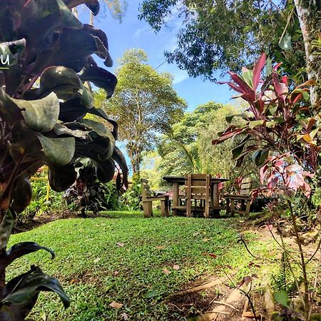 Vista Turrialba Lodge Exterior photo