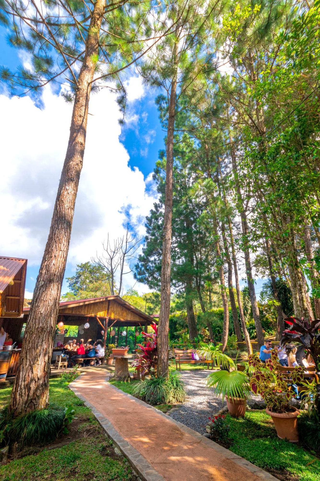 Vista Turrialba Lodge Exterior photo