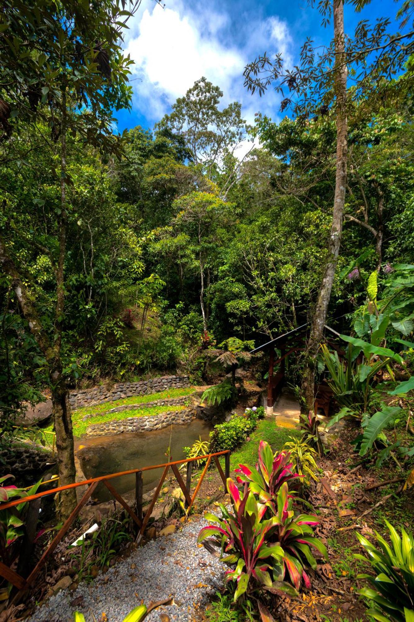 Vista Turrialba Lodge Exterior photo