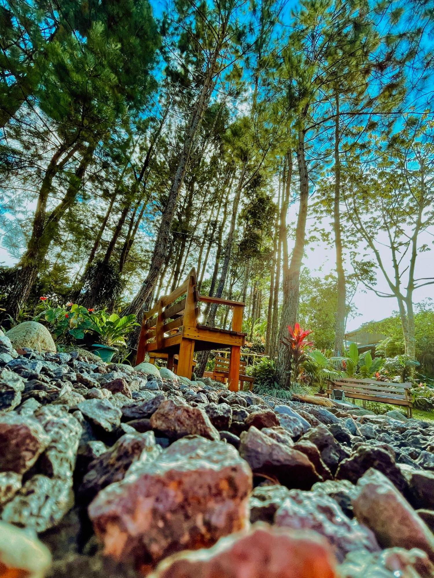 Vista Turrialba Lodge Exterior photo