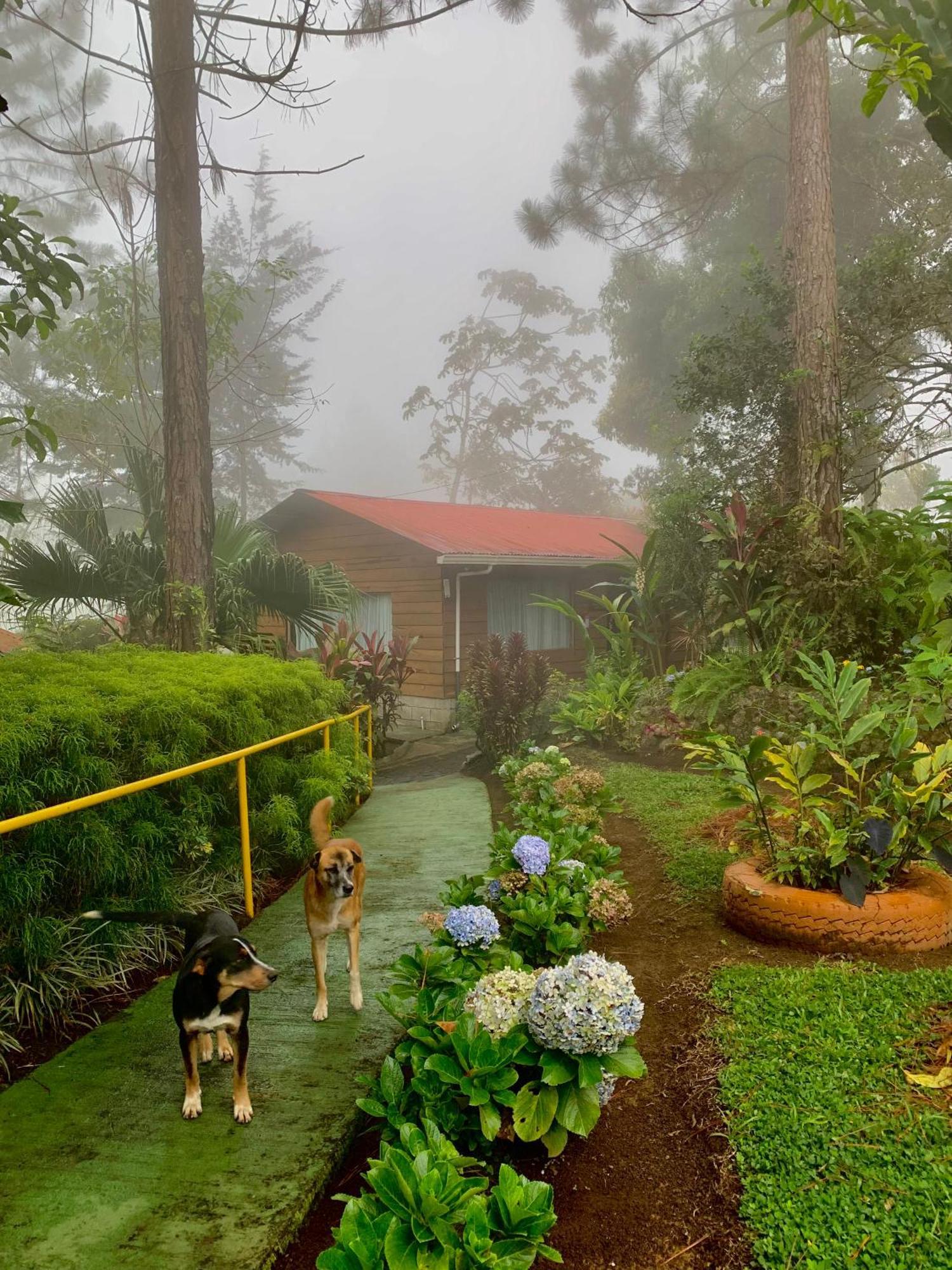 Vista Turrialba Lodge Exterior photo